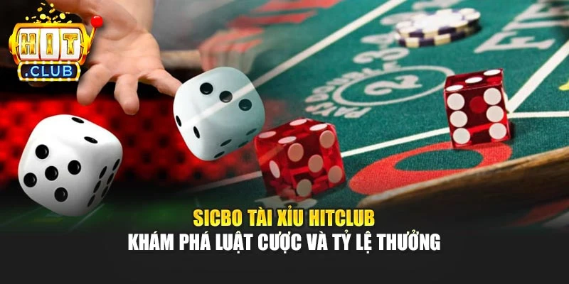 Sicbo Tài Xỉu Hitclub - Khám Phá Luật Cược Và Tỷ Lệ Thưởng
